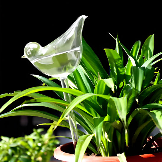 Arroseur automatique pour plante extérieur