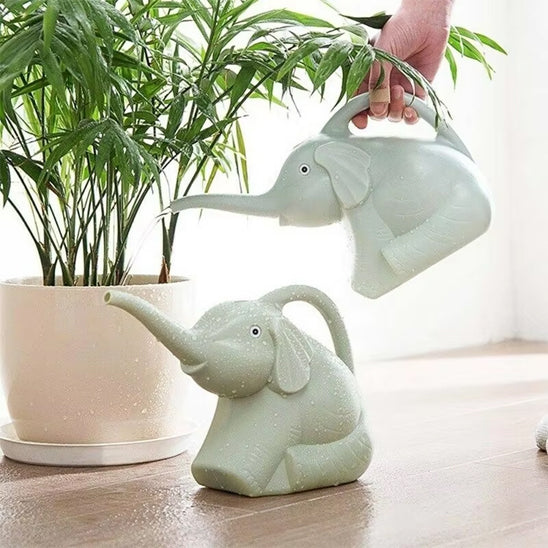 Arrosoir d'intérieur pour les plantes