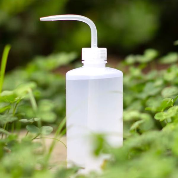 Arrosoir d'intérieur pour fines herbes