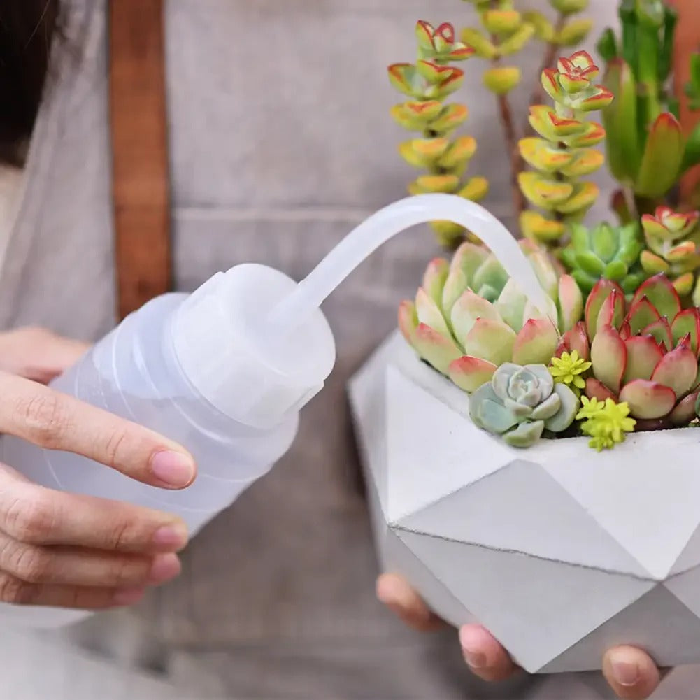 Arrosoir d'intérieur pour succulentes