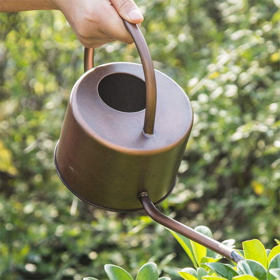 Litre arrosoir pratique
