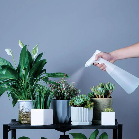 Pulvérisateur électrique pour belles plantes intérieurs
